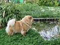 20110425_Paste 032